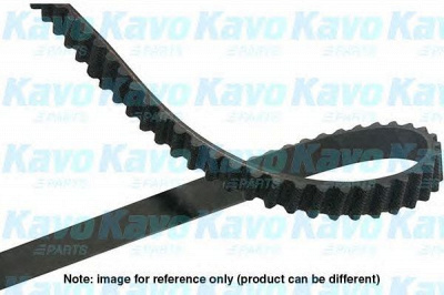 KAVO PARTS dtb5524 -  Ремень ГРМ